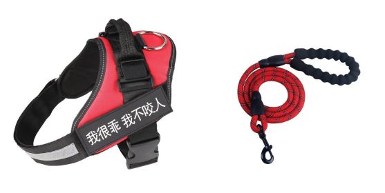 Fashion Simple Pet Leash Chest Strap Set (Option: Red-XL)